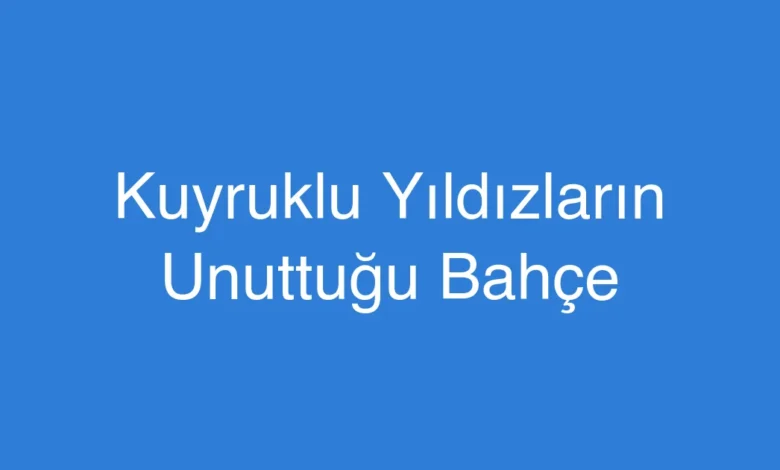 Kuyruklu Yıldızların Unuttuğu Bahçe