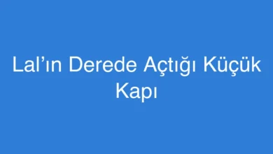 Lal’ın Derede Açtığı Küçük Kapı