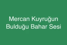 Mercan Kuyruğun Bulduğu Bahar Sesi