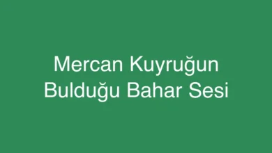 Mercan Kuyruğun Bulduğu Bahar Sesi