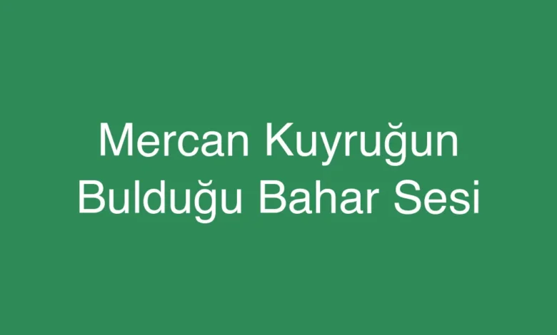 Mercan Kuyruğun Bulduğu Bahar Sesi