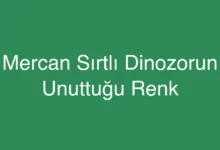 Mercan Sırtlı Dinozorun Unuttuğu Renk