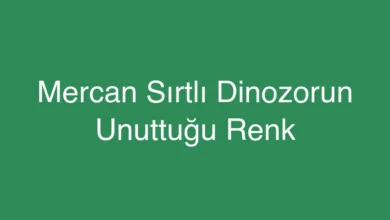 Mercan Sırtlı Dinozorun Unuttuğu Renk