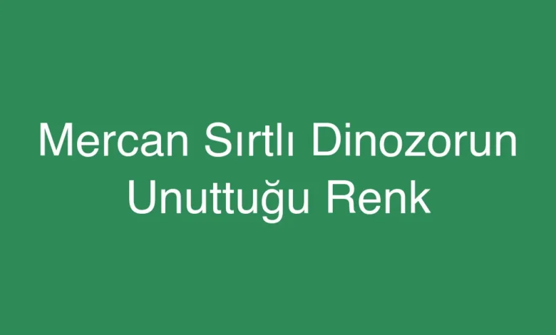 Mercan Sırtlı Dinozorun Unuttuğu Renk