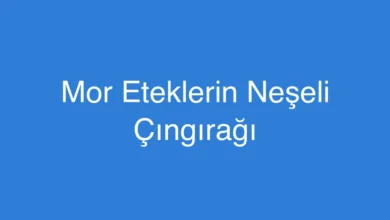 Mor Eteklerin Neşeli Çıngırağı