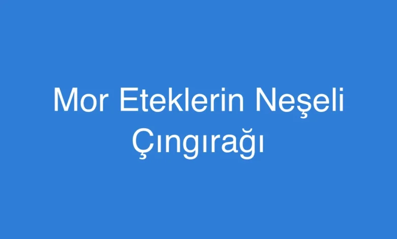Mor Eteklerin Neşeli Çıngırağı