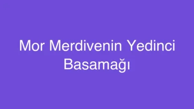 Mor Merdivenin Yedinci Basamağı