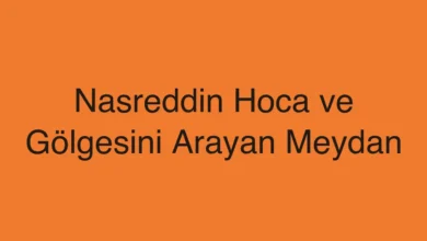 Nasreddin Hoca ve Gölgesini Arayan Meydan