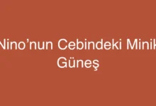Nino’nun Cebindeki Minik Güneş