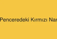 Penceredeki Kırmızı Nar