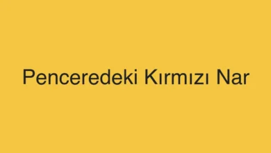 Penceredeki Kırmızı Nar