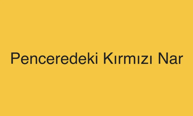 Penceredeki Kırmızı Nar