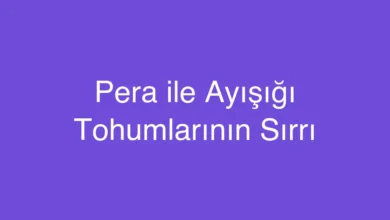Pera ile Ayışığı Tohumlarının Sırrı