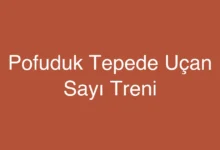 Pofuduk Tepede Uçan Sayı Treni