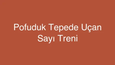 Pofuduk Tepede Uçan Sayı Treni