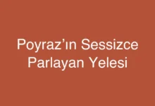 Poyraz’ın Sessizce Parlayan Yelesi