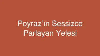 Poyraz’ın Sessizce Parlayan Yelesi