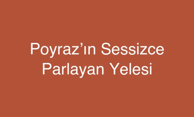 Poyraz’ın Sessizce Parlayan Yelesi
