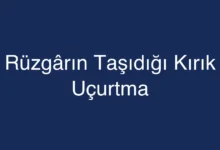 Rüzgârın Taşıdığı Kırık Uçurtma