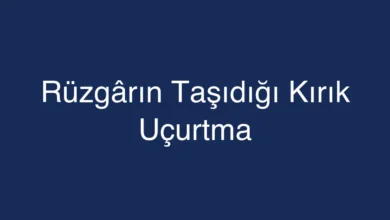 Rüzgârın Taşıdığı Kırık Uçurtma