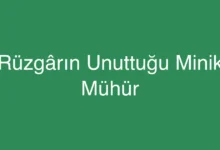 Rüzgârın Unuttuğu Minik Mühür