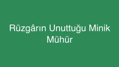 Rüzgârın Unuttuğu Minik Mühür