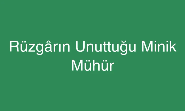 Rüzgârın Unuttuğu Minik Mühür