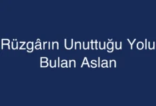 Rüzgârın Unuttuğu Yolu Bulan Aslan