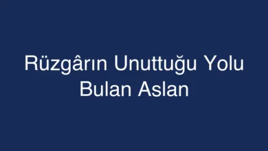 Rüzgârın Unuttuğu Yolu Bulan Aslan