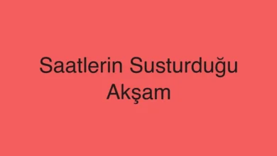 Saatlerin Susturduğu Akşam