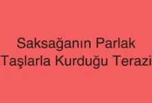 Saksağanın Parlak Taşlarla Kurduğu Terazi