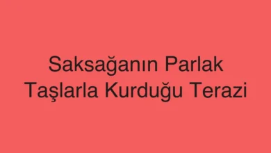Saksağanın Parlak Taşlarla Kurduğu Terazi
