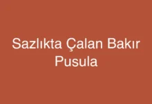Sazlıkta Çalan Bakır Pusula