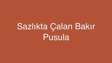 Sazlıkta Çalan Bakır Pusula