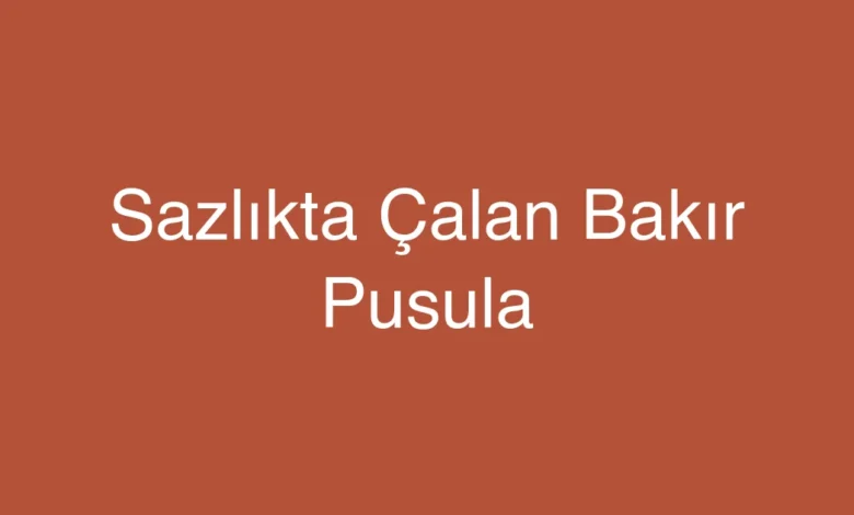 Sazlıkta Çalan Bakır Pusula