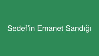 Sedef’in Emanet Sandığı
