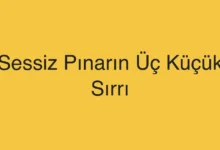 Sessiz Pınarın Üç Küçük Sırrı