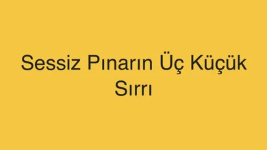 Sessiz Pınarın Üç Küçük Sırrı