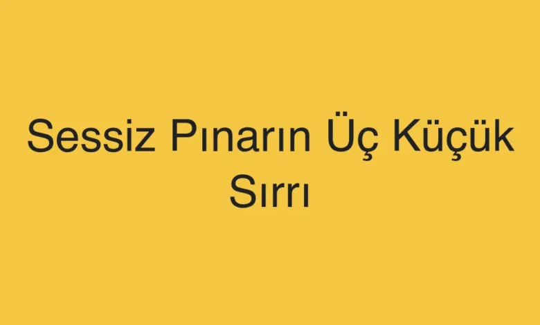 Sessiz Pınarın Üç Küçük Sırrı