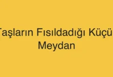 Taşların Fısıldadığı Küçük Meydan