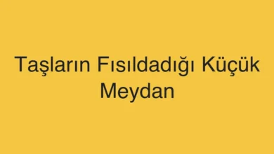 Taşların Fısıldadığı Küçük Meydan
