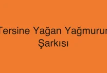 Tersine Yağan Yağmurun Şarkısı