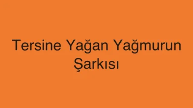 Tersine Yağan Yağmurun Şarkısı