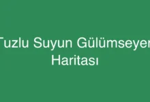 Tuzlu Suyun Gülümseyen Haritası