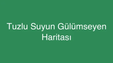 Tuzlu Suyun Gülümseyen Haritası