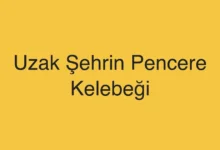 Uzak Şehrin Pencere Kelebeği