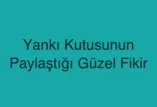 Yankı Kutusunun Paylaştığı Güzel Fikir