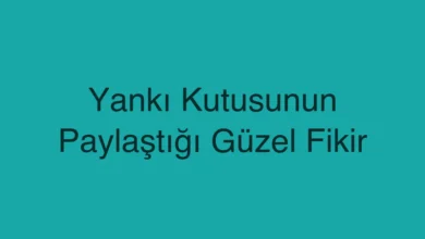 Yankı Kutusunun Paylaştığı Güzel Fikir