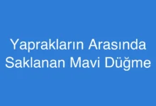 Yaprakların Arasında Saklanan Mavi Düğme