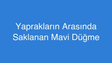 Yaprakların Arasında Saklanan Mavi Düğme